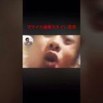 これおもろい笑笑#shorts #フィッシャーズ切り抜き #シルクロード