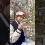 ダイエット中でもお花見でガッツリ食べる方法 #shorts #筋トレ女子