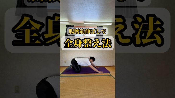 【腸腰筋体操】ここを伸ばして脚・お腹・姿勢改善して痩せ体質へチェンジしよう！#shorts #ダイエット #健康 #腸腰筋 #宅トレ