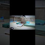 シルクエグすぎる#フィッシャーズ #シルクロード #shorts