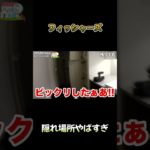 隠れ場所やばすぎ #フィッシャーズ #かくれんぼ #shorts