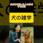 犬が心を許した人にだけする行動（リアルバージョン）　#shorts#犬#わんちゃん#dog#雑学#動物#ペット#bgm#ai
