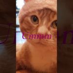 【ビュジュいいじゃん？】#バーグtv #ビジュ#いいじゃん #メイク#ハロウィン #ビジュアル #メンバー #メンズメイク