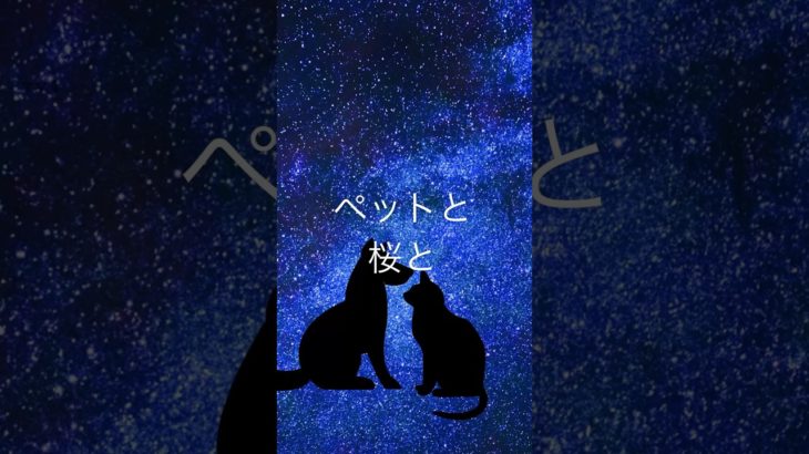 【ペットと一緒に見た景色、あのコもちゃんと憶えているよ】#ペットロス #ペット