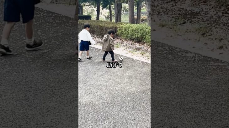 恥ずかしかたです。#ロボとーちゃん #ペットカメラ #一人暮らし #見守りカメラ