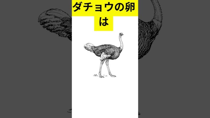 ダイエットの雑学【ダイエット雑学】【ダイエットの豆知識】【雑学】＃雑学 #ダイエット #ダイエット雑学 #健康雑学