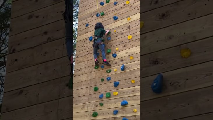 ボルダリング/途中で諦めた。フィッシャーズと共演したい！ #ボルダリング  #フォレストアドベンチャー #箱根