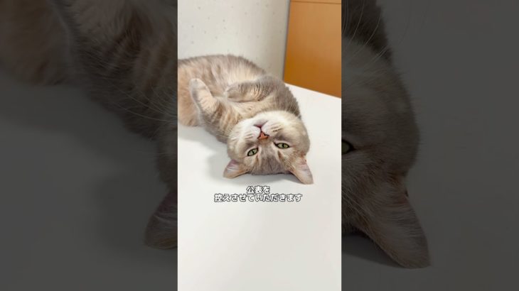 公表していなかったペットについて悲しいご報告です