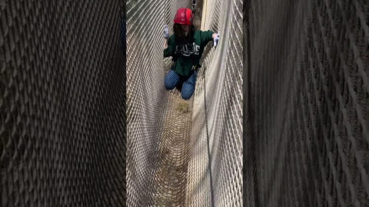 箱根でアスレチック/網に大苦戦！？ #箱根 #フォレストアドベンチャー　#フィッシャーズと共演したい