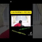 #フィッシャーズ切り抜き