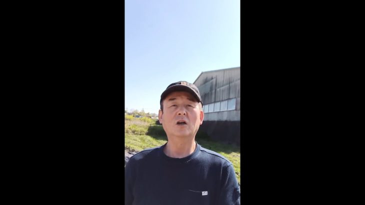 モリンガファーム