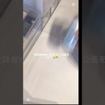 みんな応募してね！#コスメ #生活音 #メイク #ばずれ