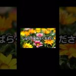 しばらくお待ちください#フィッシャーズ #フィッシャーズ切り抜き #ンダホ #シルクロード #ダーマ