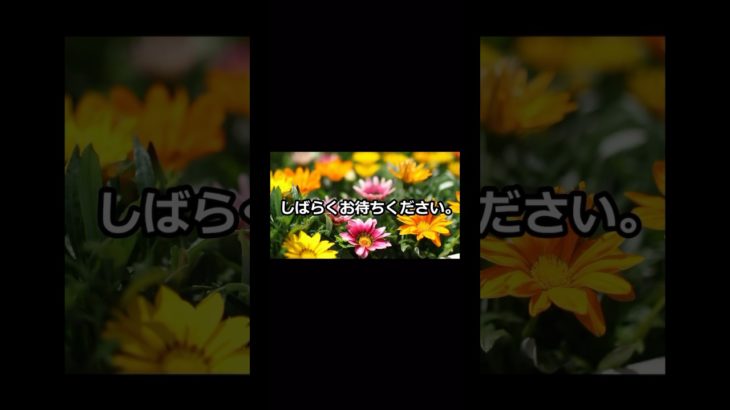 しばらくお待ちください#フィッシャーズ #フィッシャーズ切り抜き #ンダホ #シルクロード #ダーマ