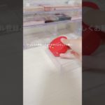 初投稿です✨皆んな見てね(｡･･｡) #メイク #コスメ #雰囲気