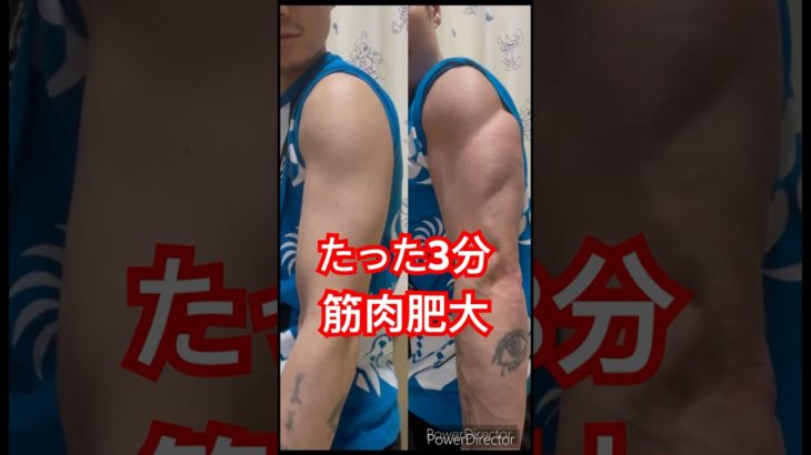 #宅トレ #筋トレ #フィットネス #ダイエット #ボディービル