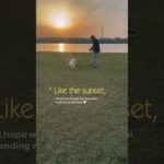 さんぽ #犬のいる生活 #いぬ #癒し #ペット #犬動画 #愛犬