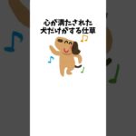 心が満たされた犬だけがする仕草　#犬 #ペット #雑学