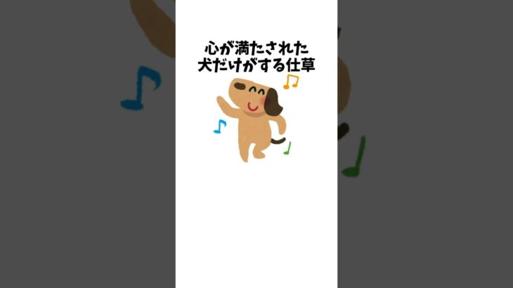 心が満たされた犬だけがする仕草　#犬 #ペット #雑学