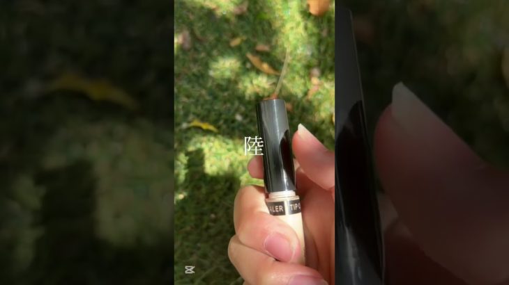 壱　#生活音 #コスメ #雰囲気ゲー #人気になりたい #かわいくなりたい #メイク #おすすめにのりたい #雰囲気