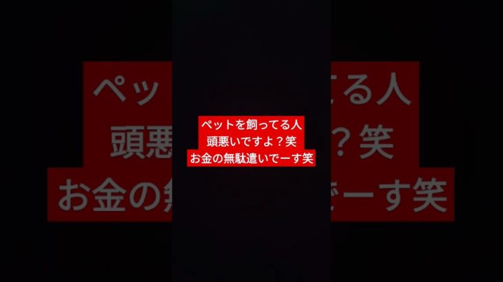 ペットについて思うこと！