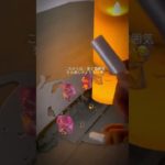 エモく撮ってみた！#生活音 #コスメ #人気になりたい #雰囲気 #メイク #バズれ #のあゆめ