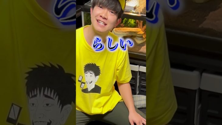 大量の小松菜をペットたちに与えてみた結果