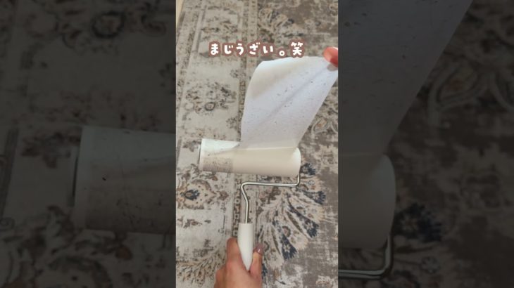 コロコロに不満ある人~🥹？ペットが居なくてもこれ使ってみる価値あるかも🩷髪の毛もホコリもしっかり取れるし、処分もラク✨商品ページはプロフリンク見てね🔍#便利グッズ