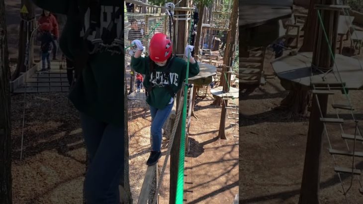 一本柱を渡る  #箱根 #フォレストアドベンチャー　#フィッシャーズと共演したい