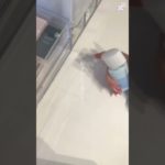 悩み吐き出しちゃいなね #コスメ #生活音 #メイク #ばずれ