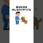 幸せな犬はみんなこれやってる　#犬 #ペット #雑学