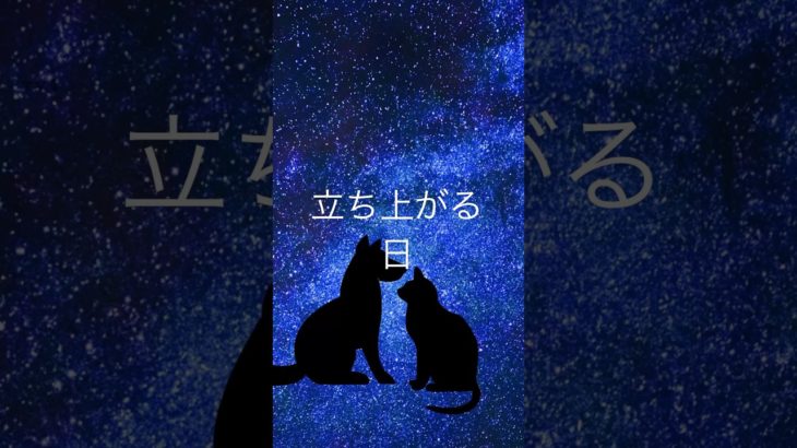 【ペットロスの悲しみから立ち上がった人は美しい】 #ペットロス #ペット