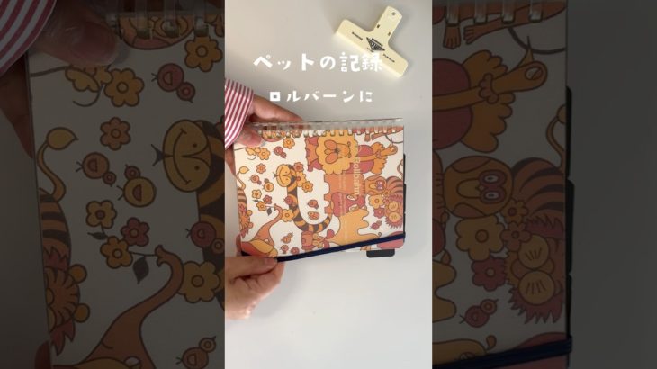 ペットの記録ロルバーンに書いてます✎𓂃 #ペット　#ロルバーン