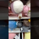 【休日vlog】#vlog #生活音 #コスメ #メイク #無加工 #買い物vlog #サンリオ #ブックオフ