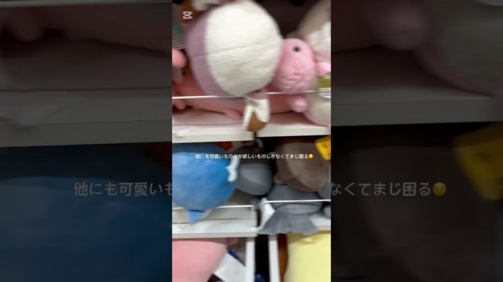 【休日vlog】#vlog #生活音 #コスメ #メイク #無加工 #買い物vlog #サンリオ #ブックオフ