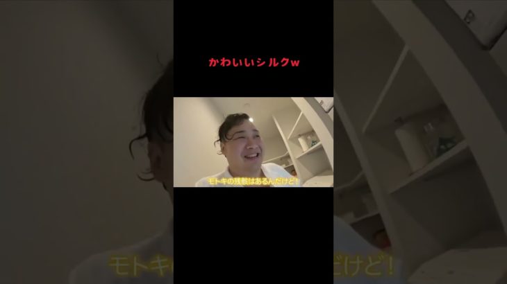 かわいいシルクw #fischer #fischers #フィッシャーズ切り抜き #切り抜き