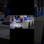 シルクって何者？w#フィッシャーズ #シルクロード #shorts