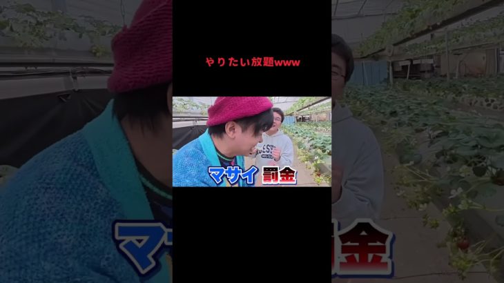 やりたい放題www #fischers #fischer #フィッシャーズ #フィッシャーズ切り抜き