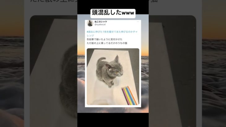 天才すぎるwww #shorts #おもしろ #猫 #ペット #絵