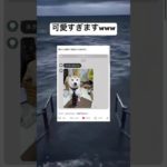 犬の表情がいいwww #shorts #おもしろ #犬 #ペット #仕事