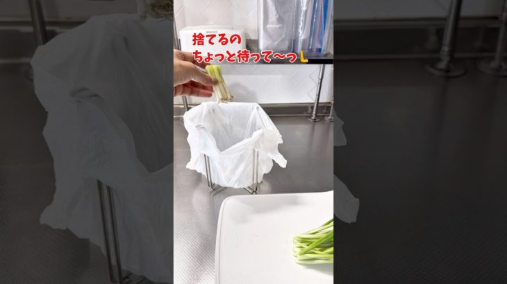【節約】ペットボトルで0円チャレンジ！　#水栽培  #水耕栽培 #暮らしチャンネル