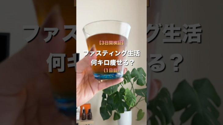 ２４日目🌼３日間のファスティング生活で痩せる⁉️１日目#アラサーダイエット #100日ダイエット #公開ダイエット #ダイエット