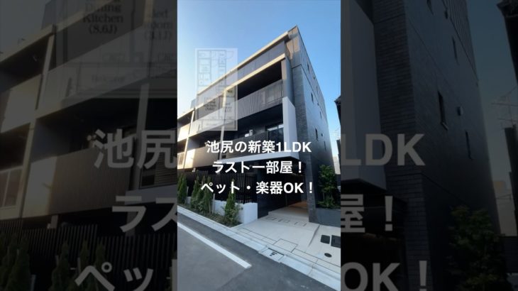 池尻の新築1LDK！ラスト一部屋！ペット•楽器OK！ #不動産 #賃貸 #池尻大橋  #中目黒 #ルームツアー #新築  #ペット #楽器