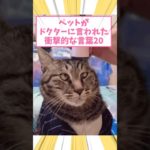 ペットがドクターに言われた衝撃的な言葉20