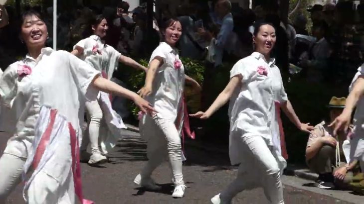 2025　横浜パレード 16　 Via Colorguard／Via Colorguard Jr.　ビューティフォー via YOKOHAMA！