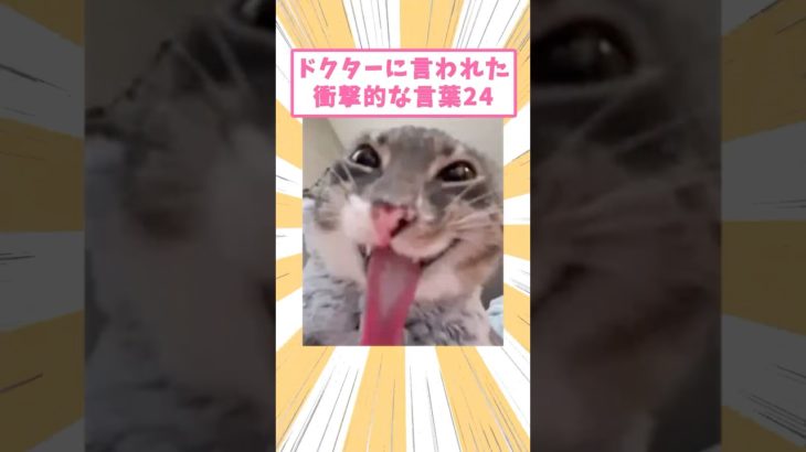 ペットがドクターに言われた衝撃的な言葉24