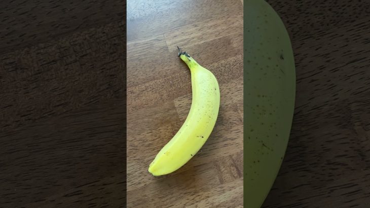 【37日目】今日のごはん #ダイエット #ダイエット記録 #169cm80kg後半からの挑戦