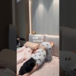 8:00am model routine✨#model #bodycare #thatgirl #skincare #grwm #morningroutine #beauty #fyp