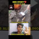 PET ALSO HAVE FELLINGS ❤️‍🩹.       LOVE IS AMAZING 💕#hen #love #subscribe