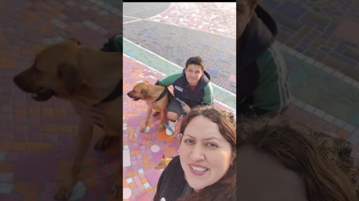 Parque Petfriendly en Pachuca Hidalgo 🐶 #petfriendly #perros #perritos